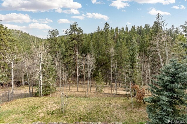 1264 Beaver Brook Canyon Rd, Evergreen, CO 80439 - photo 29