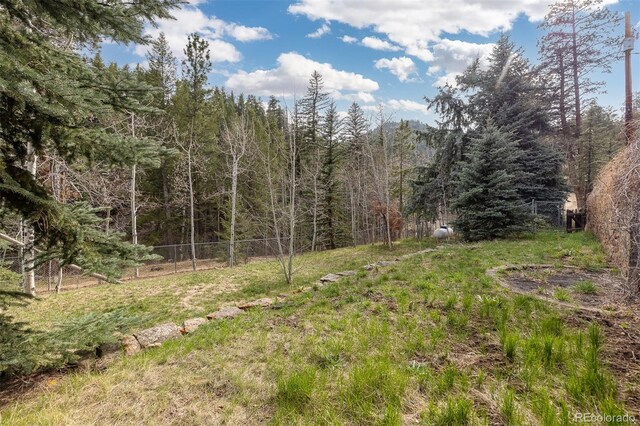 1264 Beaver Brook Canyon Rd, Evergreen, CO 80439 - photo 35