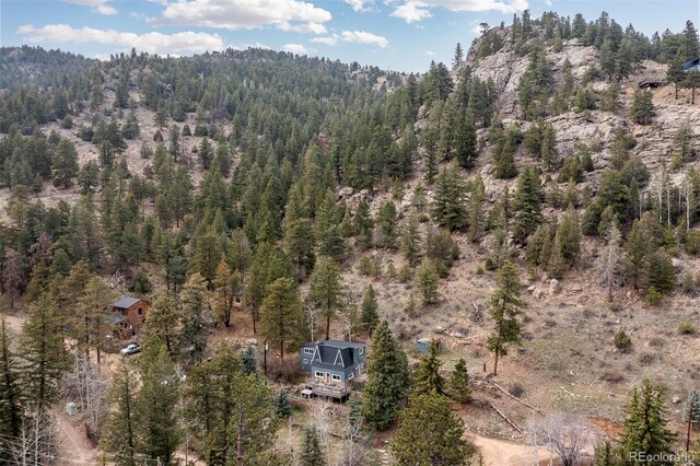 1264 Beaver Brook Canyon Rd, Evergreen, CO 80439 - photo 38