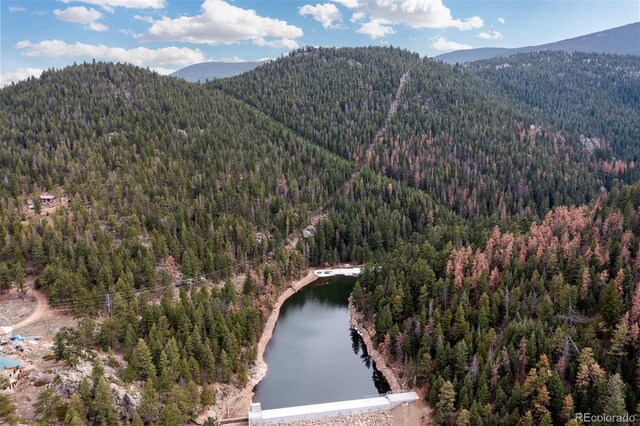 1264 Beaver Brook Canyon Rd, Evergreen, CO 80439 - photo 39