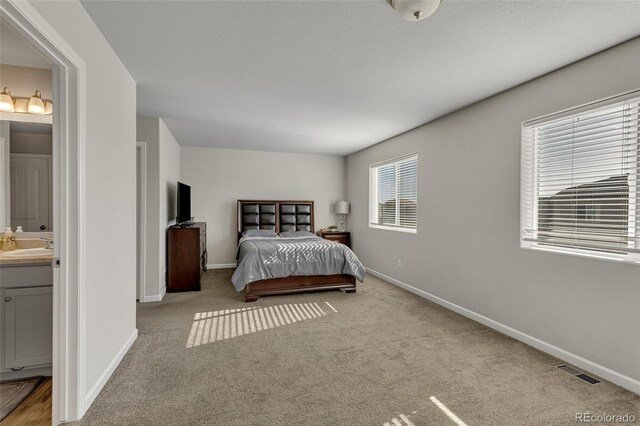 6375 White Wolf Pt, Colorado Springs, CO 80925 - photo 18