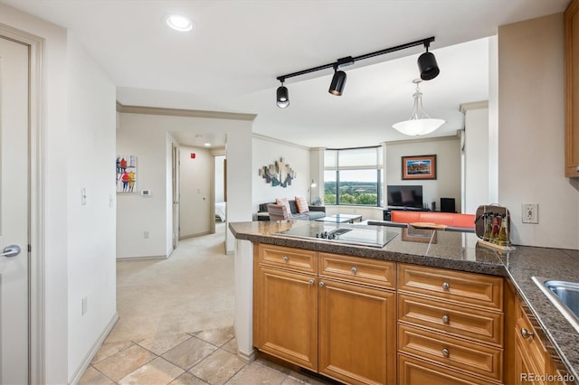 kitchen featuring decorative light fixtures, light carpet, kitchen peninsula, rail lighting, and black electric stovetop