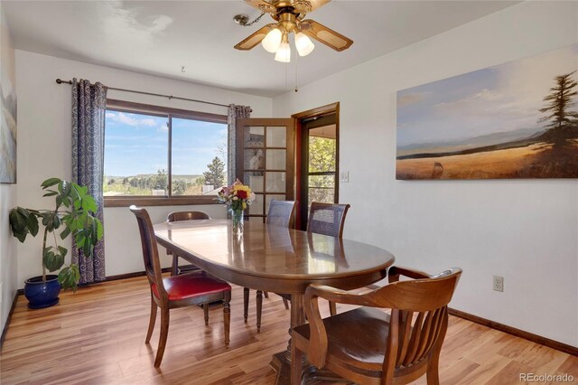 330 Johnson Dr, Castle Rock, CO 80104 - photo 10