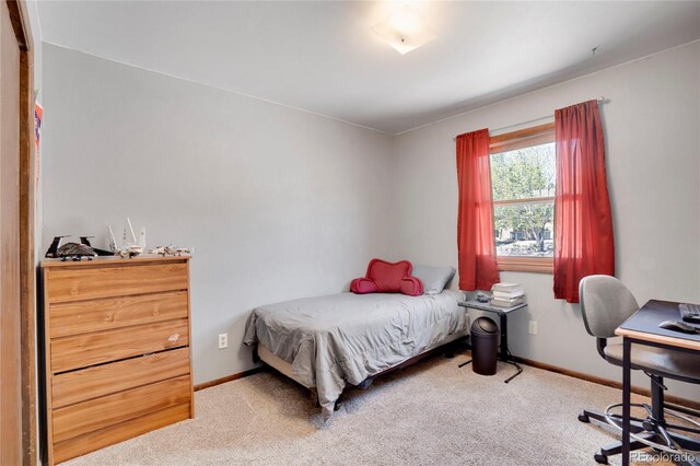 330 Johnson Dr, Castle Rock, CO 80104 - photo 15