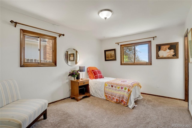 330 Johnson Dr, Castle Rock, CO 80104 - photo 19