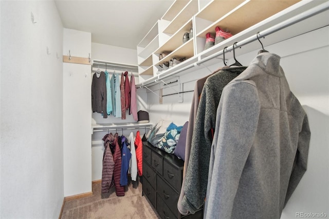 walk in closet featuring carpet floors