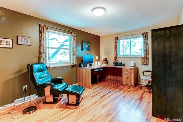 office space featuring light wood-type flooring