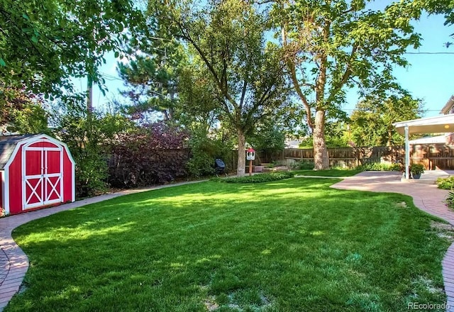 view of yard with a patio and a shed