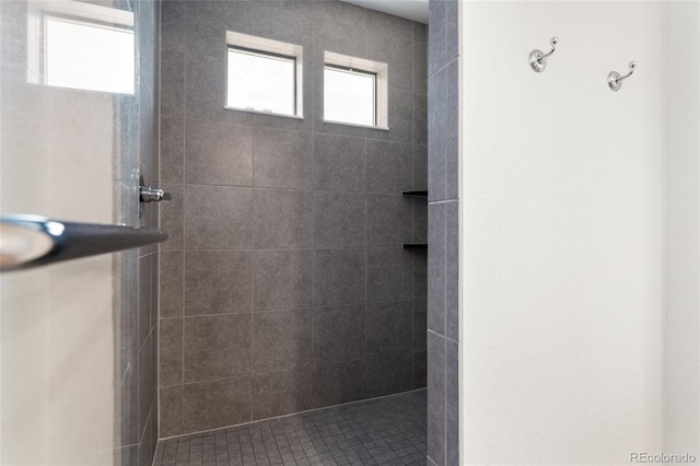 19047 Randolph Pl, Denver, CO 80249 - full bathroom with tiled shower