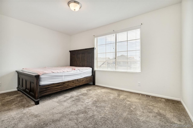 19047 Randolph Pl, Denver, CO 80249 - carpeted bedroom with visible vents and baseboards