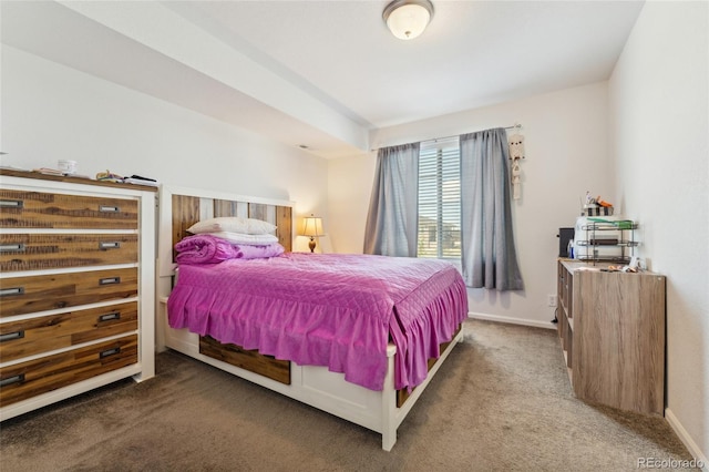 19047 Randolph Pl, Denver, CO 80249 - carpeted bedroom with baseboards