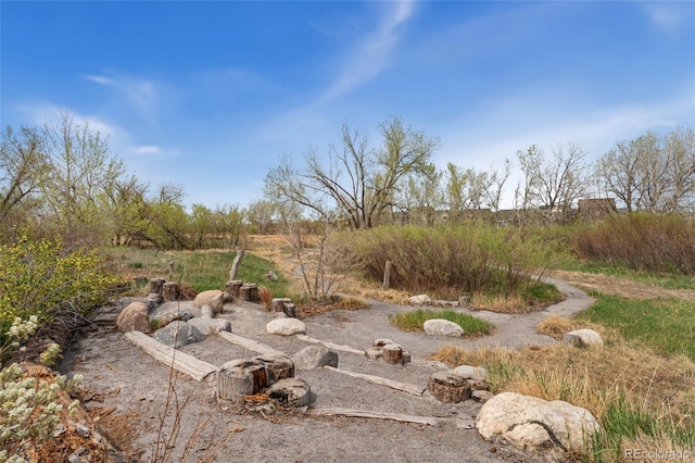 19047 Randolph Pl, Denver, CO 80249 - view of yard