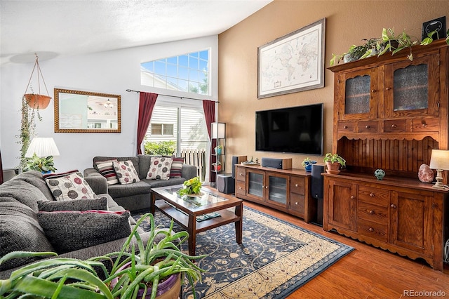 7582 Jared Way, Littleton, CO 80125 - living area featuring vaulted ceiling and light wood finished floors