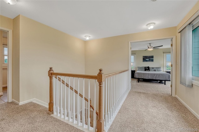 43793 Buckskin Rd, Parker, CO 80138 - corridor with carpet flooring, plenty of natural light, and an upstairs landing