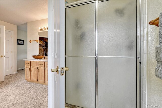 43793 Buckskin Rd, Parker, CO 80138 - bathroom featuring a shower stall, vanity, and a closet