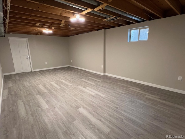 basement featuring hardwood / wood-style flooring