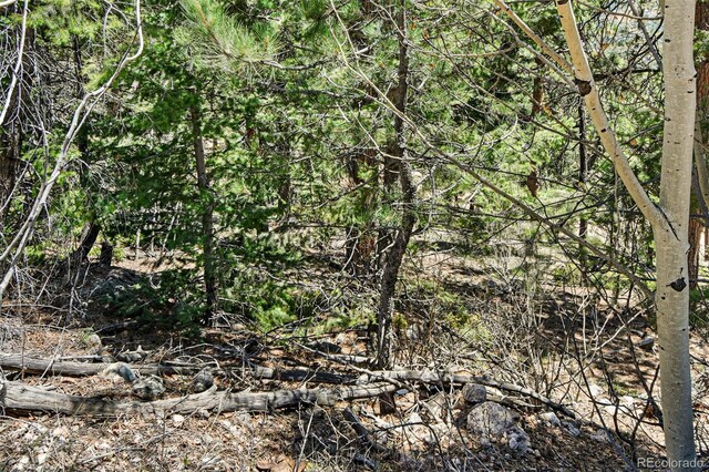 11618 Nichols Way, Conifer, CO 80433