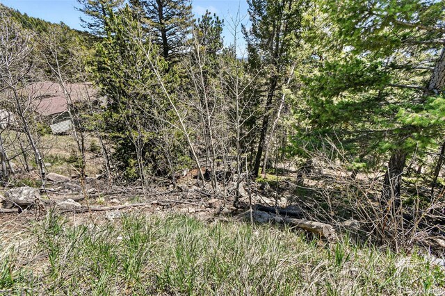 11618 Nichols Way, Conifer, CO 80433
