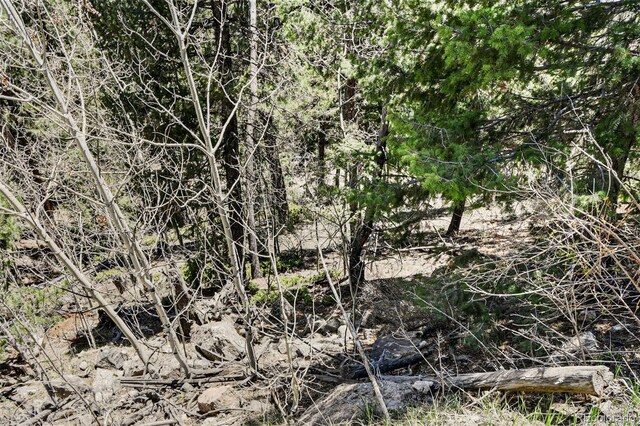 11618 Nichols Way, Conifer, CO 80433