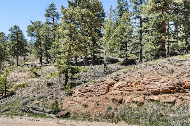 11618 Nichols Way, Conifer, CO 80433