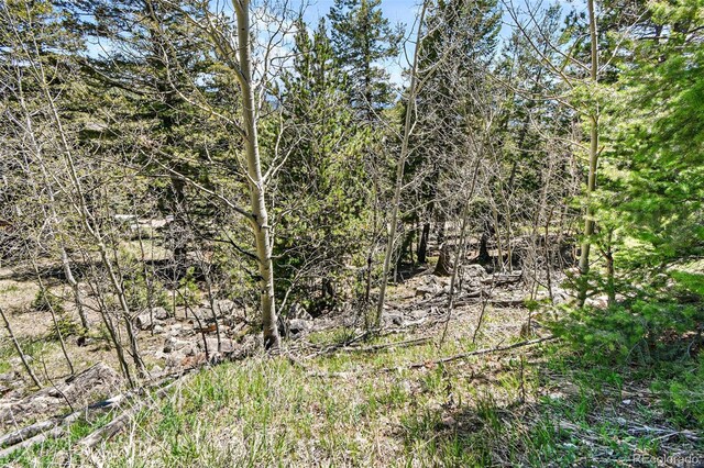 11618 Nichols Way, Conifer, CO 80433
