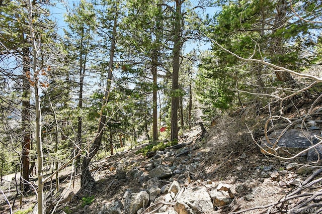 11618 Nichols Way, Conifer, CO 80433