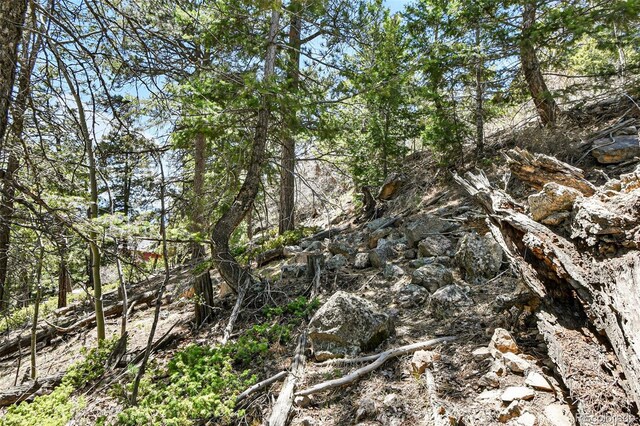 11618 Nichols Way, Conifer, CO 80433