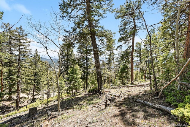 11618 Nichols Way, Conifer, CO 80433