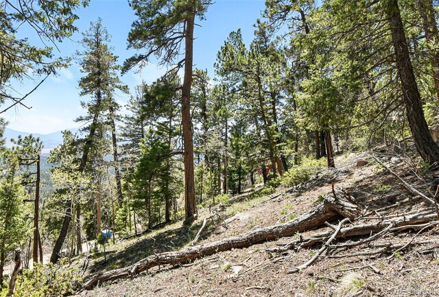 11618 Nichols Way, Conifer, CO 80433