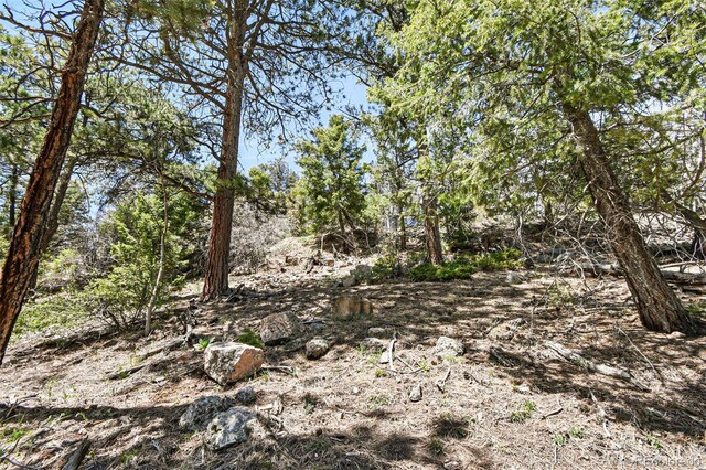 11618 Nichols Way, Conifer, CO 80433