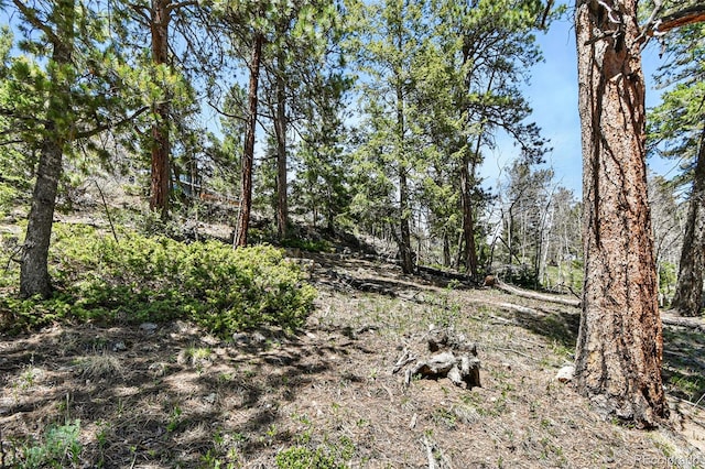 11618 Nichols Way, Conifer, CO 80433