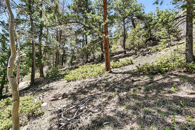 11618 Nichols Way, Conifer, CO 80433