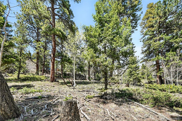 11618 Nichols Way, Conifer, CO 80433