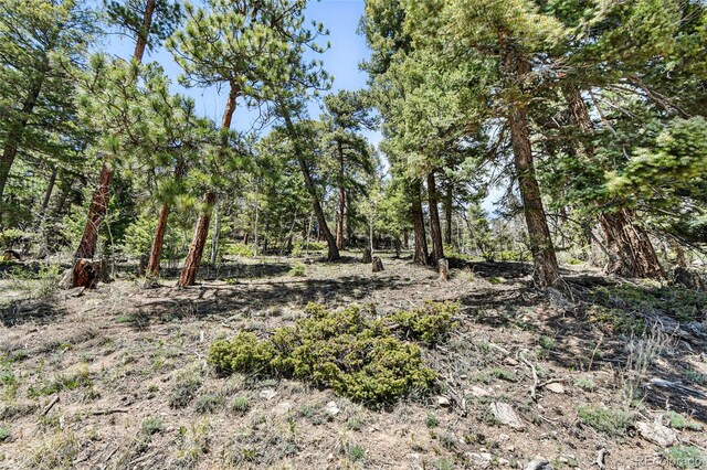 11618 Nichols Way, Conifer, CO 80433