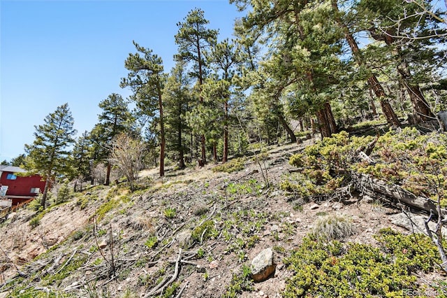 11618 Nichols Way, Conifer, CO 80433
