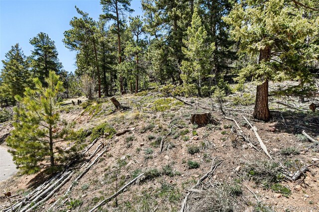 11618 Nichols Way, Conifer, CO 80433