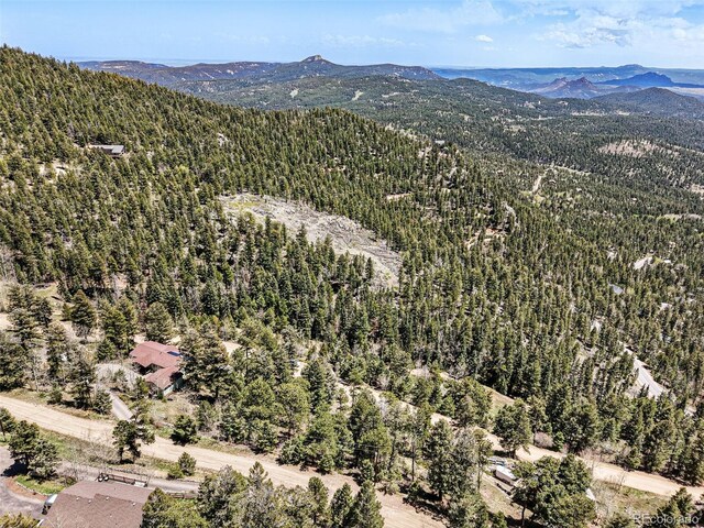 11618 Nichols Way, Conifer, CO 80433