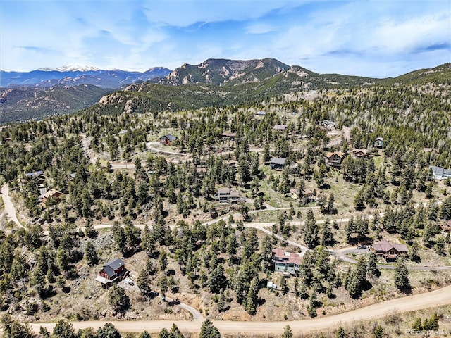 11618 Nichols Way, Conifer, CO 80433