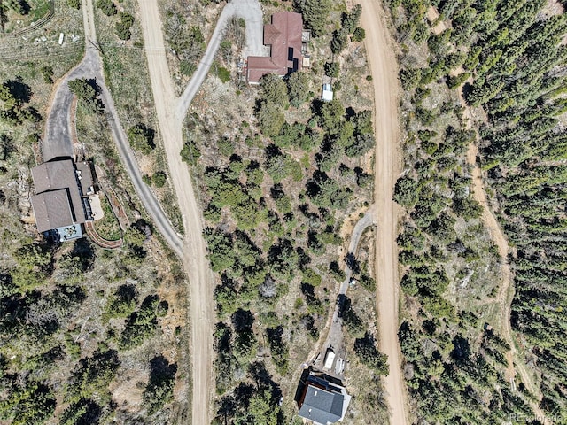 11618 Nichols Way, Conifer, CO 80433