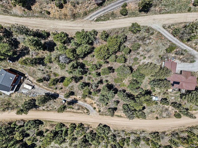 11618 Nichols Way, Conifer, CO 80433