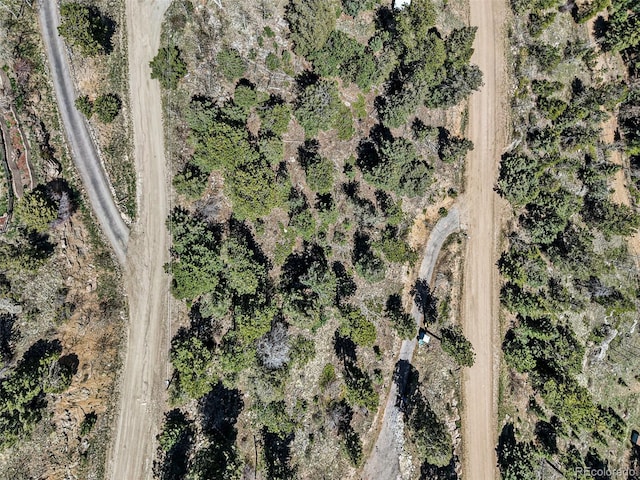 11618 Nichols Way, Conifer, CO 80433