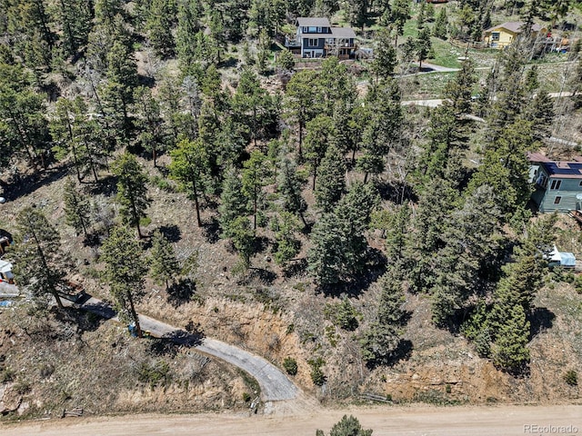 11618 Nichols Way, Conifer, CO 80433