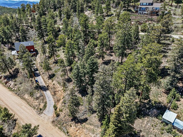 11618 Nichols Way, Conifer, CO 80433