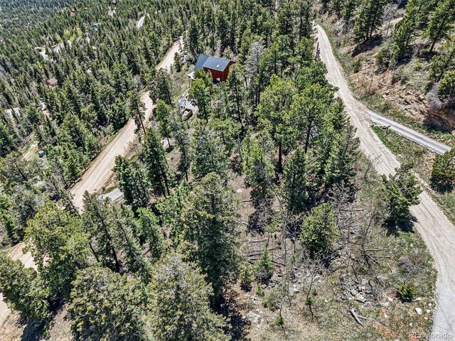 11618 Nichols Way, Conifer, CO 80433