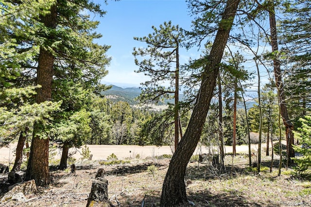 11618 Nichols Way, Conifer, CO 80433