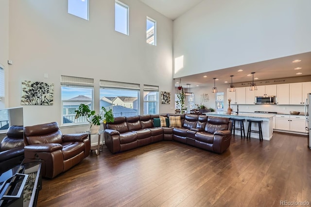 living room with a wealth of natural light and dark hardwood / wood-style floors