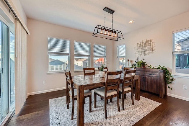 dining room with dark hardwood / wood-style flooring