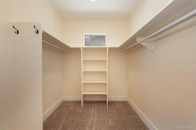 spacious closet with carpet