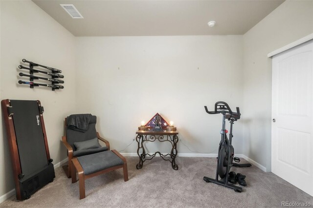 11524 Dewey St, Parker, CO 80138 - workout area featuring visible vents, carpet flooring, and baseboards