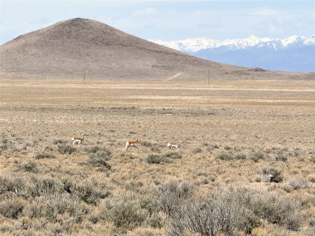 LOT27 County Road 45, Blanca CO, 81133 land for sale